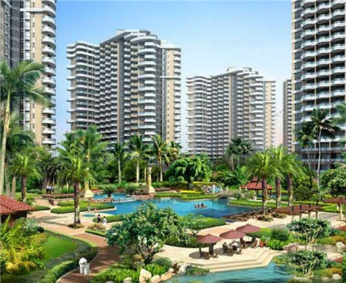 超鸡战车大鸡排