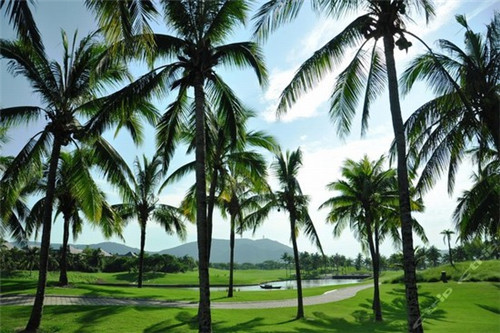 靖边县加盟三津汤包开店怎么样