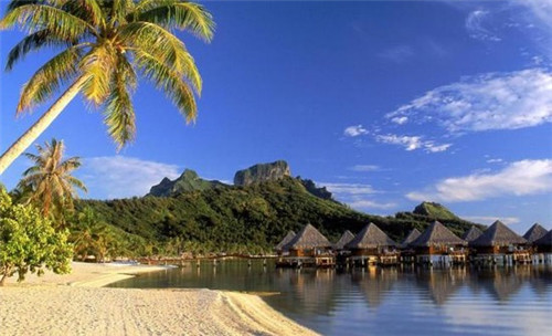 加盟艄翁鱼火锅步骤是什么