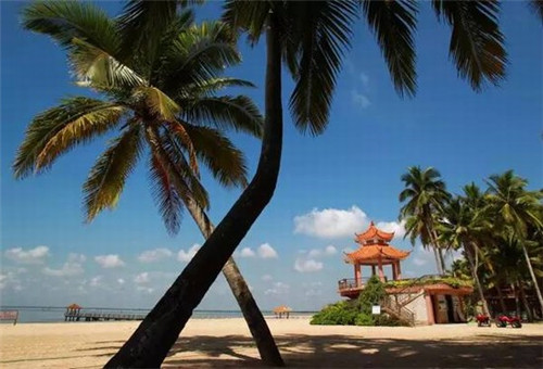 大岞村有哪里好玩的（大汖古村有什么好玩的）