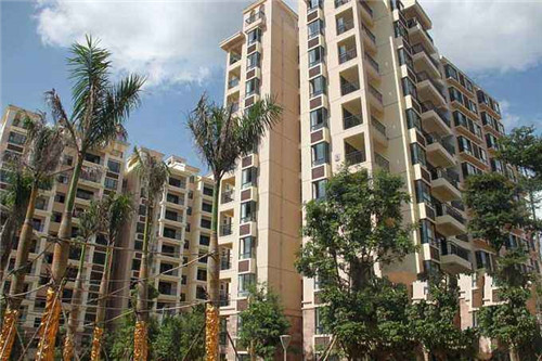 十大行为挑战是什么意思（十项行为）