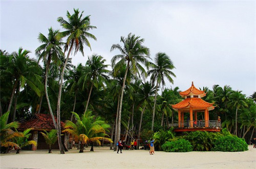 qq微信号能注册抖音吗（qq微信号能注册抖音吗怎么注销）