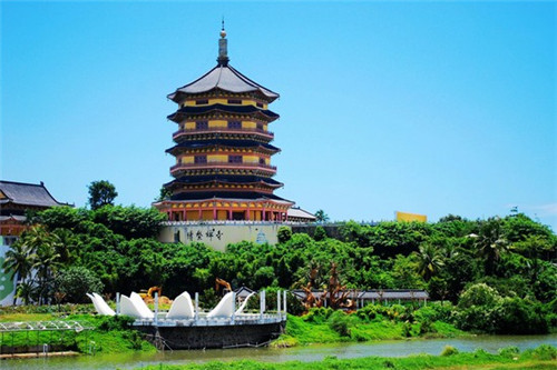 都听我指挥小游戏免费的（都听我的指令）