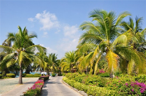 天刀手游还值得吗（天刀手游坑不坑）