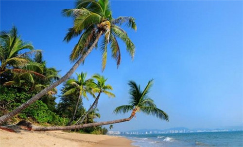 时尚甜品加盟店能长期做的品牌有哪些，苏江南2026年还能加盟吗